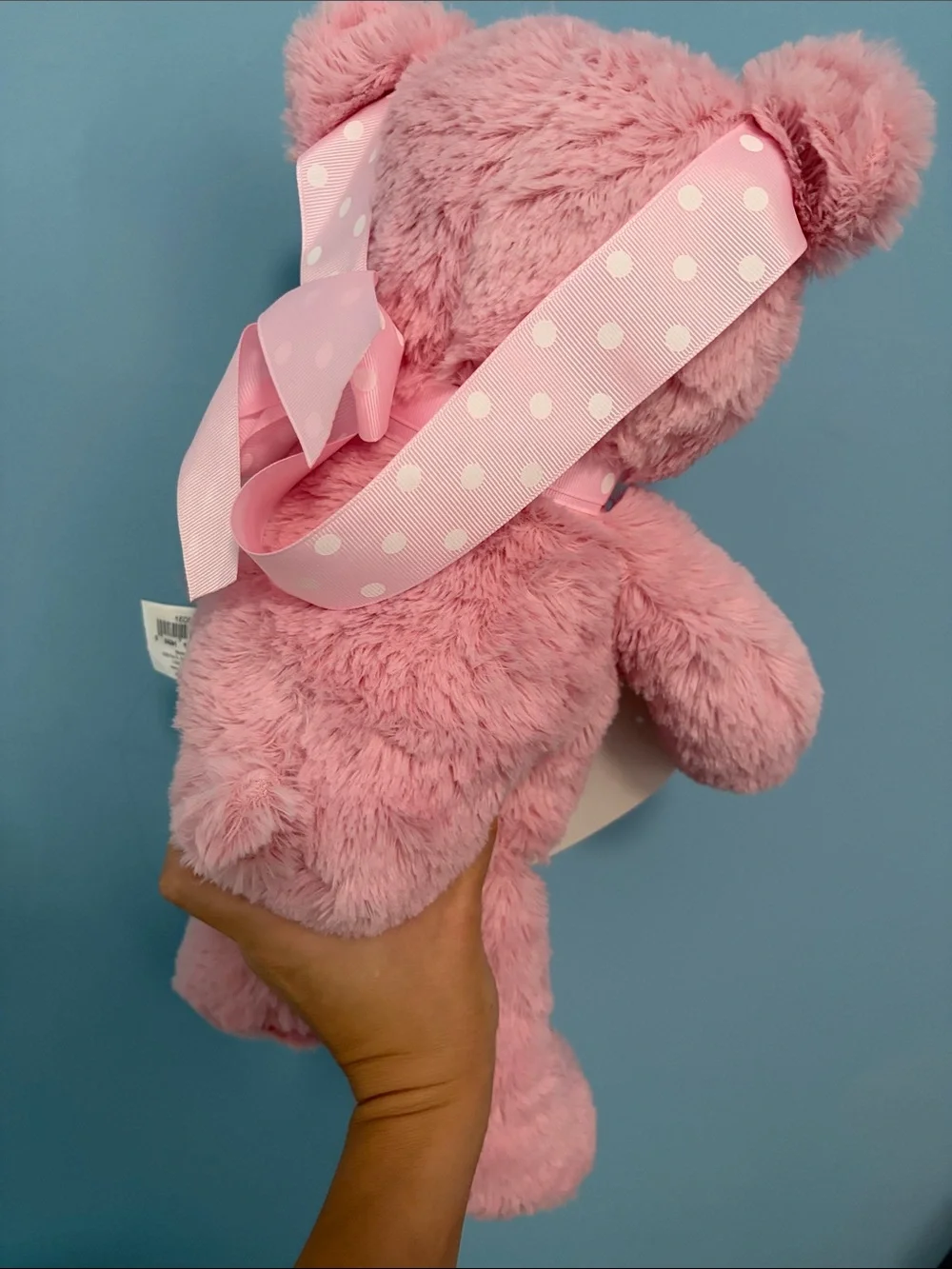 NWOT Pink Teddy Bear